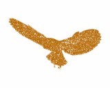 /public/logoimage/1397837793Schumacher _ Associates12.jpg